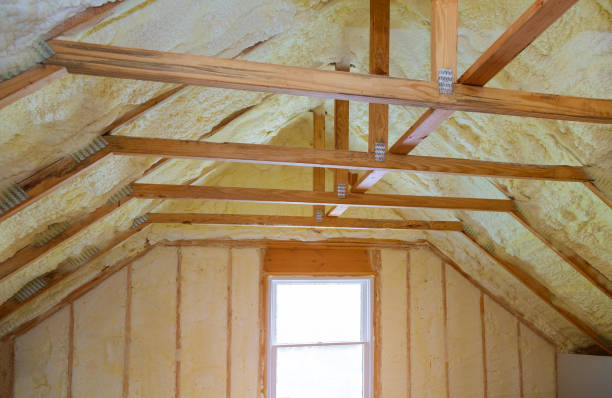 Best Types of Insulation in Ramsey, MN