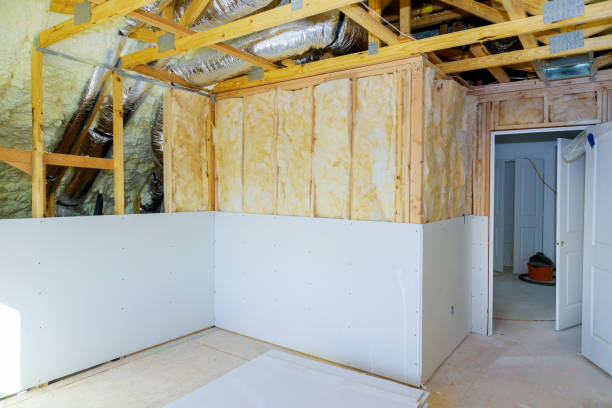 Best Insulation Installation Services in Ramsey, MN