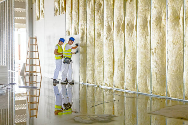 Best Insulation for Specific Applications in Ramsey, MN